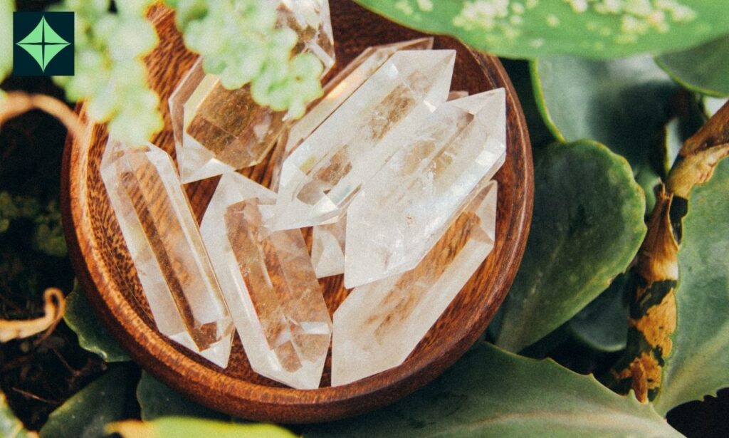 clear quartz with leaves